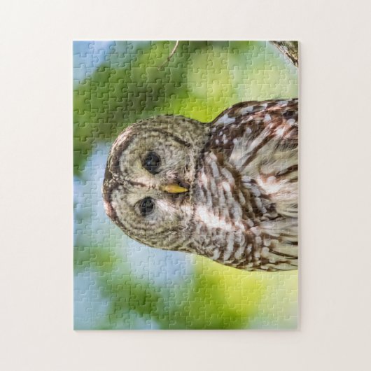 Barred Owl Puzzle (Vertikal)