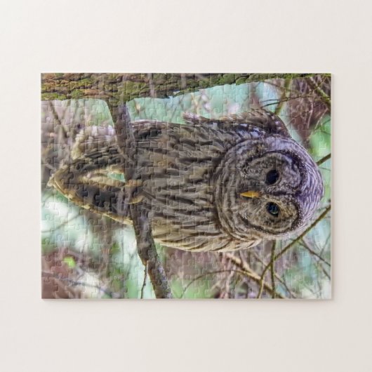 Barred Owl Puzzle (Horizontal)