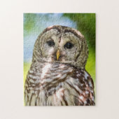 Barred Owl Puzzle (Vertikal)