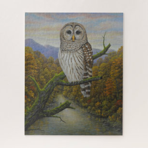 Barred Owl Puzzle
