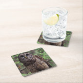 Barred Owl Rechteckiger Pappuntersetzer (Vor Ort)