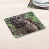 Barred Owl Rechteckiger Pappuntersetzer (angewinkelt)