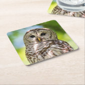 Barred Owl Rechteckiger Pappuntersetzer (angewinkelt)