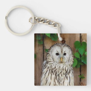 Barred Owl Schlüsselanhänger