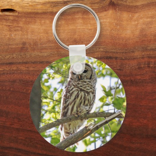 Barred Owl Schlüsselanhänger (Vorderseite)
