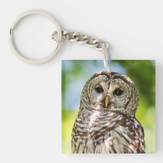 Barred Owl Schlüsselanhänger (Vorderseite)