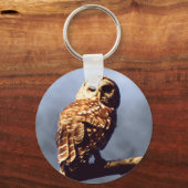 Barred Owl Schlüsselanhänger (Vorderseite)