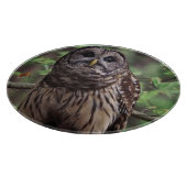 Barred Owl Schneidebrett (Ecke)