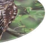 Barred Owl Schneidebrett (Ecke)