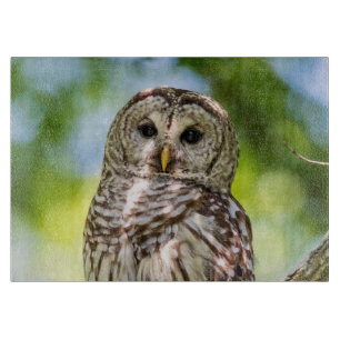 Barred Owl Schneidebrett