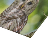 Barred Owl Schneidebrett (Ecke)