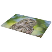Barred Owl Schneidebrett (Ecke)