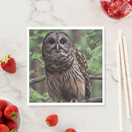 Barred Owl Serviette (Beispiel)