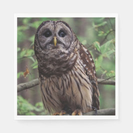 Barred Owl Serviette