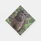 Barred Owl Serviette (Ecke)