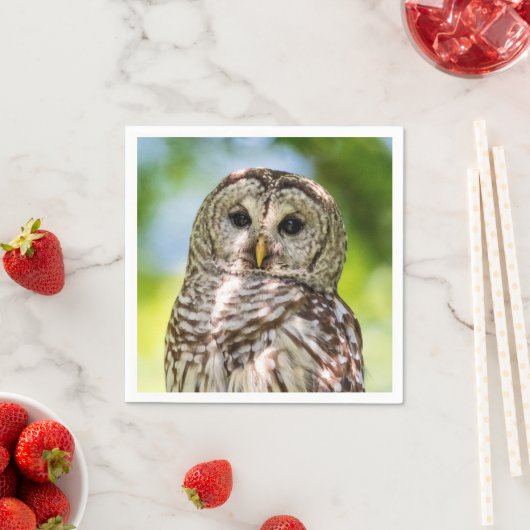 Barred Owl Serviette (Beispiel)