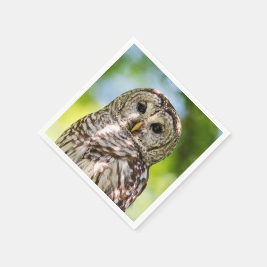 Barred Owl Serviette (Ecke)