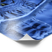 Barred Owl Snow Storm Fotodruck (Ecke)