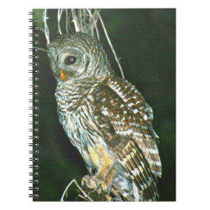 Barred Owl Spiral Foto Notebook Notizblock