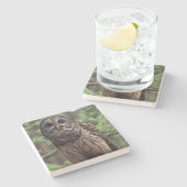 Barred Owl Steinuntersetzer (Seitenansicht)