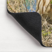 Barred Owl (Strix varia) in Zypressenbaum Mousepad (Ecke)