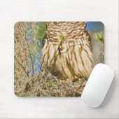 Barred Owl (Strix varia) in Zypressenbaum Mousepad (Mit Mouse)
