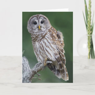 Barred Owl (Strix varia) Karte
