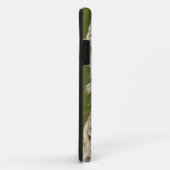 Barred Owl, Strix varia, Michigan Case-Mate iPhone Hülle (Hinten/Rechts)