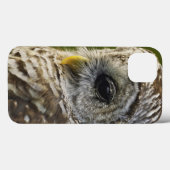 Barred Owl, Strix varia, Michigan Case-Mate iPhone Hülle (Rückseite (Horizontal))