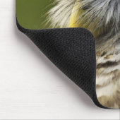 Barred Owl, Strix varia, Michigan Mousepad (Ecke)