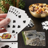 Barred Owl, Strix varia, Michigan Spielkarten (In Situ)