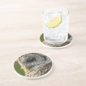 Barred Owl, Strix varia, Michigan Untersetzer (Seite)