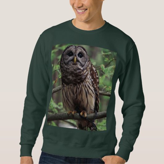 Barred Owl Sweatshirt (Vorderseite)