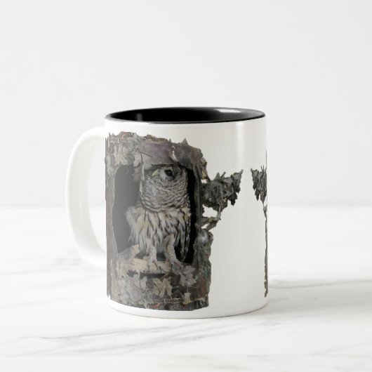 Barred Owl Tasse - Hier sieht man dich an! (Vorderseite Links)