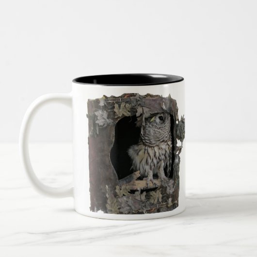 Barred Owl Tasse - Hier sieht man dich an! (Links)