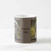 Barred Owl-Tasse Kaffeetasse (Mittel)