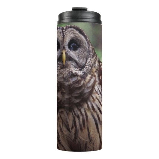 Barred Owl Thermosbecher (Vorderseite)