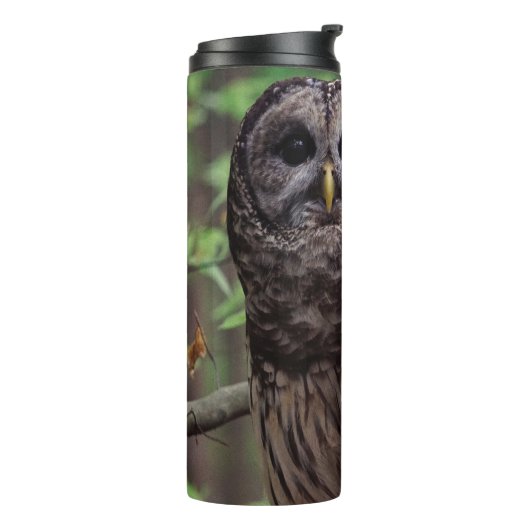 Barred Owl Thermosbecher (Nach links gedreht)