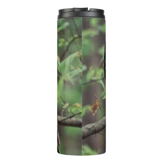 Barred Owl Thermosbecher (Rückseite)