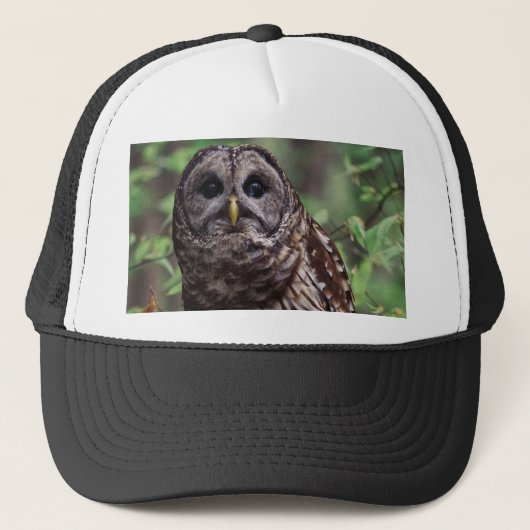 Barred Owl Truckerkappe (Vorderseite)