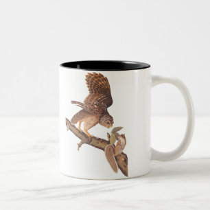 Barred Owl und Happy Squirrel Audubon Art Zweifarbige Tasse