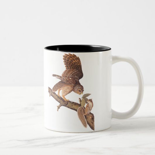 Barred Owl und Happy Squirrel Audubon Art Zweifarbige Tasse (Rechts)
