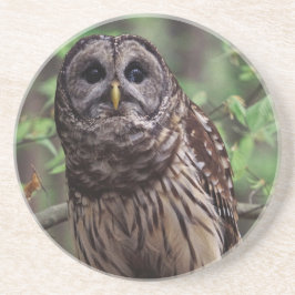 Barred Owl Untersetzer