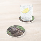 Barred Owl Untersetzer (Seite)