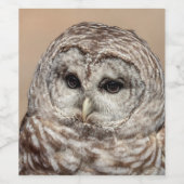 Barred Owl Weinetikett (Einzelnes Label)