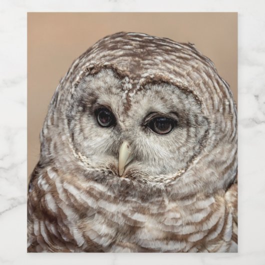Barred Owl Weinetikett (Einzelnes Label)