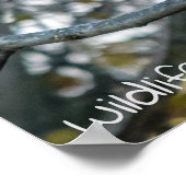 Barred Owl Wildlife zählt! Poster (Ecke)