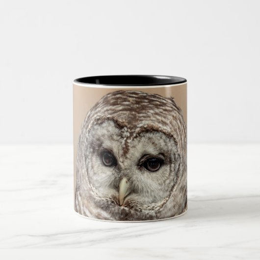 Barred Owl Zweifarbige Tasse (Mittel)