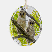 Barred Owlets Springtime Keramik Ornament (Rechts)