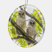 Barred Owlets Springtime Keramik Ornament (Links)